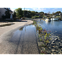 Day after the king tide Virginia Beach image